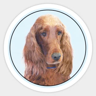 Irish Setter Sticker